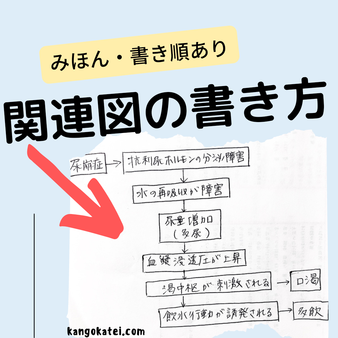 さくら餅様 看護実習 手順書 関連図 看護過程 関連図 パンフレット 